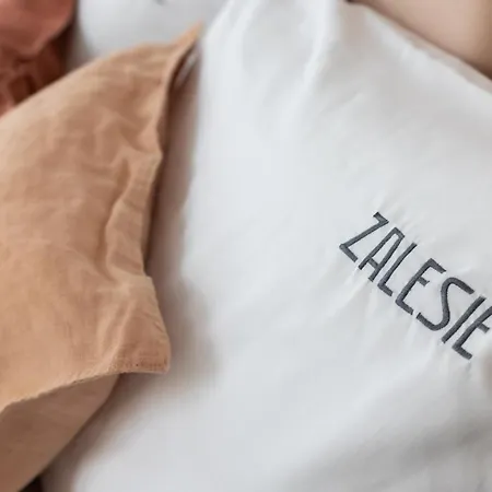 Zalesie Bed & Breakfast
